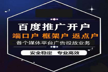 大型企业SEM外包实战案例